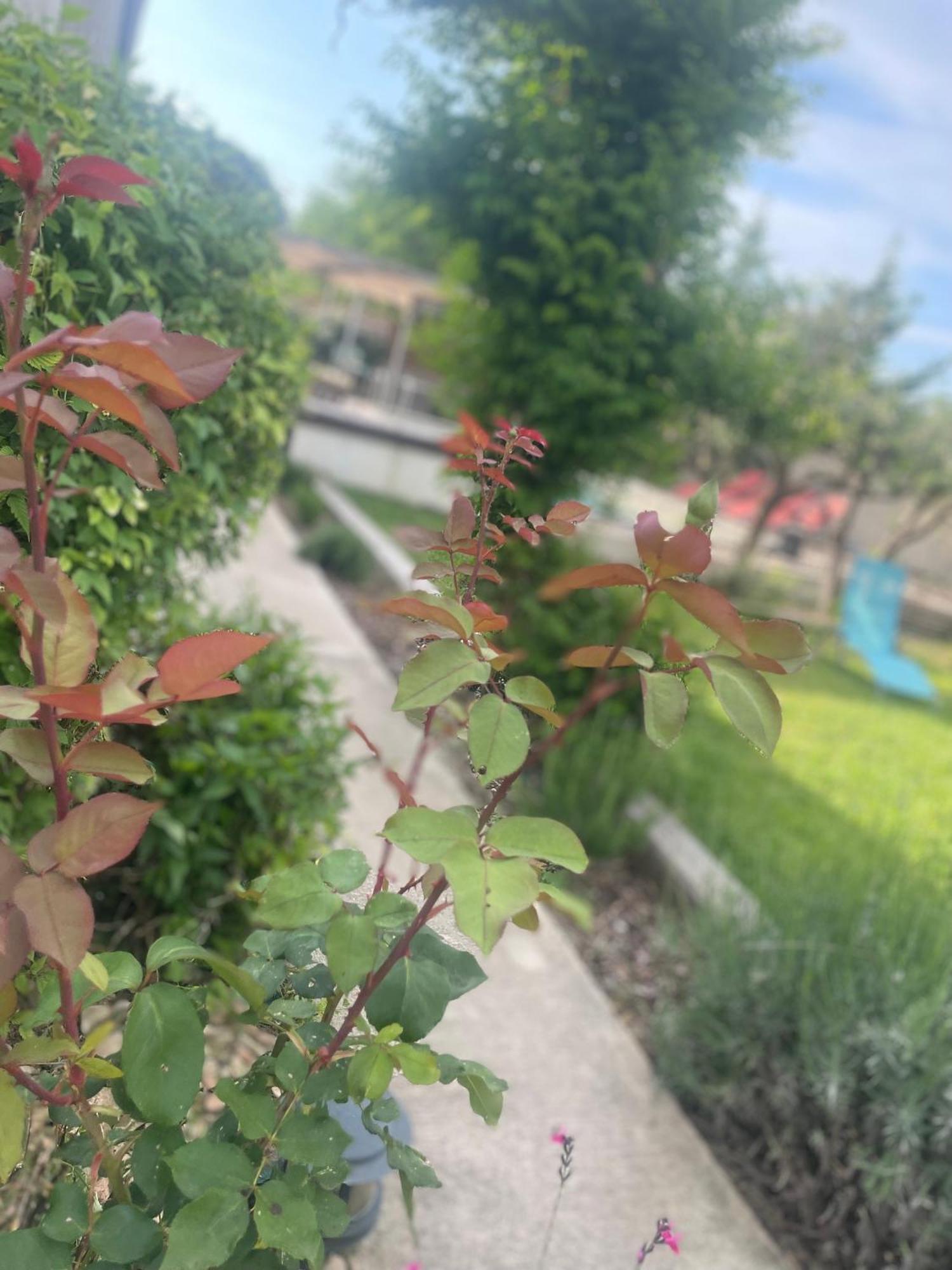 Villa Le Luberon Mérindol Εξωτερικό φωτογραφία